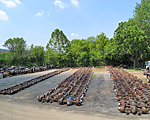 rear axels